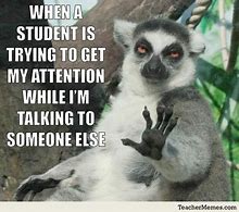 Image result for Funny Teacher Memes Report Writing Animals