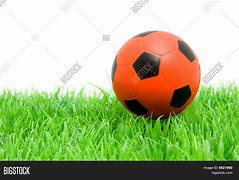 Image result for Soccer Ball Color