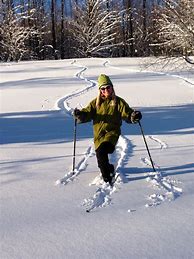 Image result for Nordic Skiing