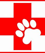Image result for Animal First Aid