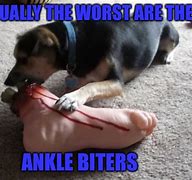 Image result for Ankle Biter Meme