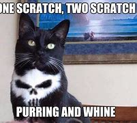 Image result for Punisher Cat Meme