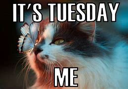 Image result for Tuesday Memes Younique