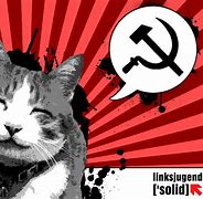 Image result for Communist Cat