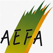Image result for aefa