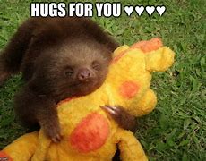Image result for Sloth Hugs Meme