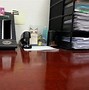 Image result for Grumpy Cat Office