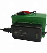 Image result for LiFePO4 Battery Charger 60V