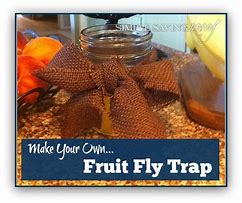 Image result for Easy Homemade Fruit Fly Trap