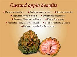 Image result for Custard Apple Nutrition