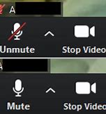 Image result for mute mic buttons zoom