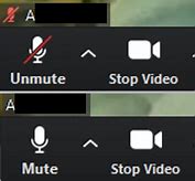 Image result for Zoom Mute Button