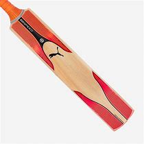 Image result for Puma Cricket Bats Tiger Logo Stikers