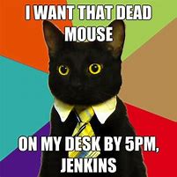 Image result for Siness Cat Meme