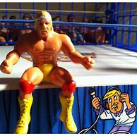 Image result for WWF Thumb Wrestlers