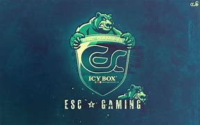 Image result for CS:GO Profile
