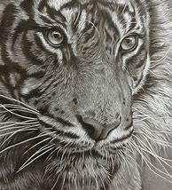 Image result for graphite pencils drawing animal