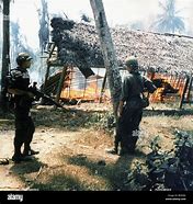 Image result for Search and Destroy Vietnam