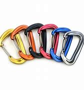 Image result for Carabiner Key Chain Clip