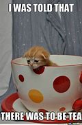 Image result for Cat Serving Tea Meme