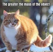 Image result for The Greater the Mass Meme