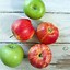 Image result for Oven Baked Apple Slices Recipe