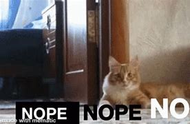 Image result for Haha Nope