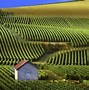 Image result for Vineyard Vines Desktop Wallpaper
