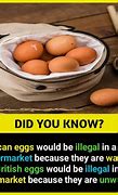 Image result for Crazy Did You Know Facts