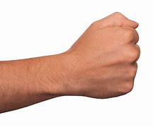 Image result for Clenched Fist Transparent