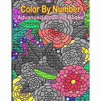 Image result for Adult Color by Number Books