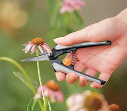 Image result for Garden Scissors