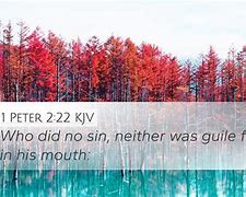 Image result for 1 Peter 2:22