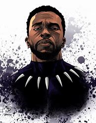 Image result for Black Panther Hero
