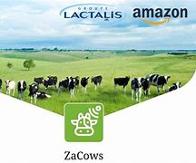 Image result for Zacows Contact Details