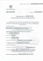 Image result for Poland Work Permit Sample