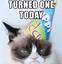 Image result for Grumpy Cat Happy Anniversary