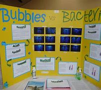 Image result for First Grade Science Fair Projects
