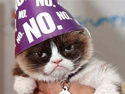 Image result for Happy Bday Grumpy Cat