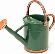 Image result for Best 2 Gallon Watering can