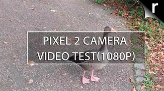 Image result for Pixel 2 Camera Samples