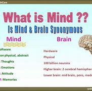 Image result for Mind Vs. Brain