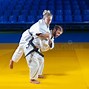 Image result for Woman Throwing Man Judo