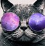 Image result for Cool Cat Art Wallpaper
