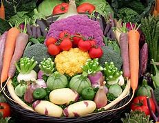 Image result for alimentadio