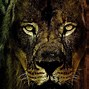 Image result for Trippy Rasta Lion
