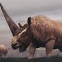 Image result for Siberian Unicorn Found in Ice