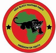 Image result for Jordan 5 Black Panther
