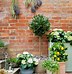 Image result for Small Backyard Planting Ideas
