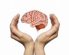 Image result for Brain Health